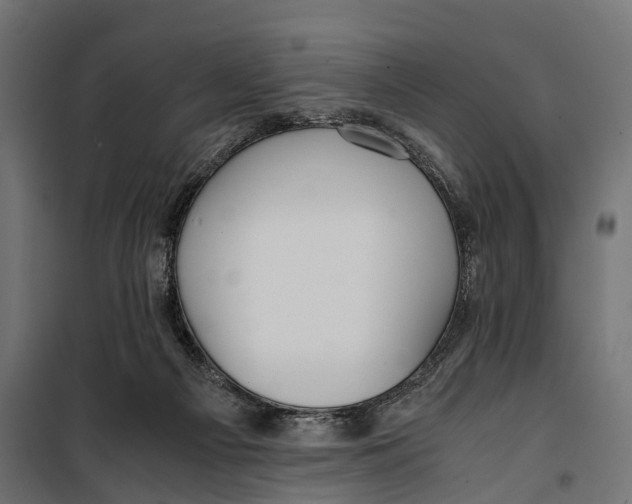 X0000099990121200806201459