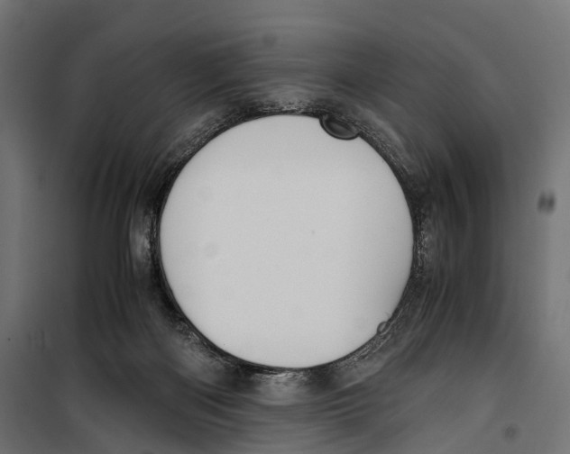 X0000099990122200806201459