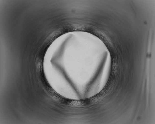 X0000099990123200806201459