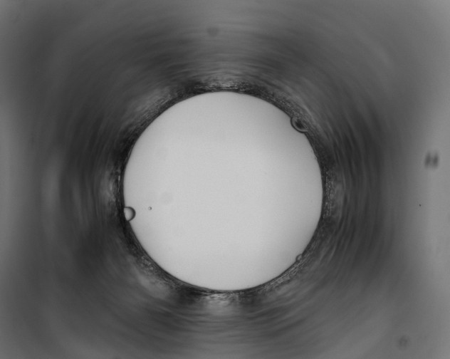 X0000099990126200806201459