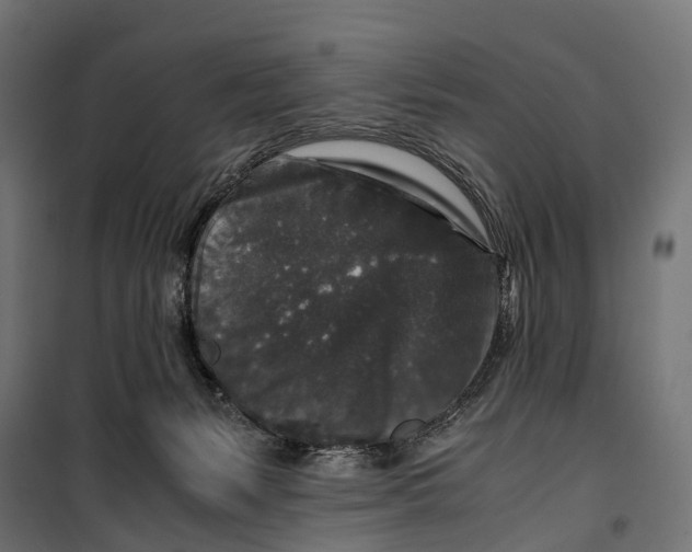 X0000099990127200806201459