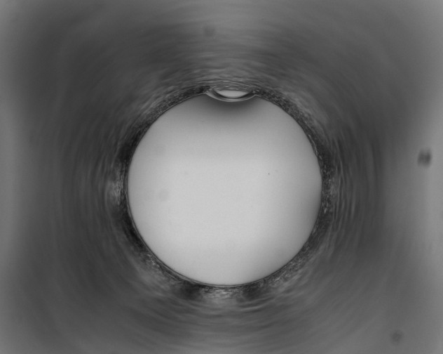 X0000099990129200806201459