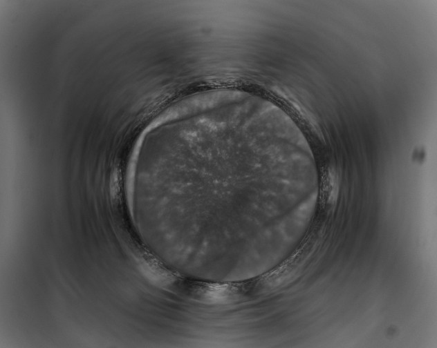 X0000099990130200806201459