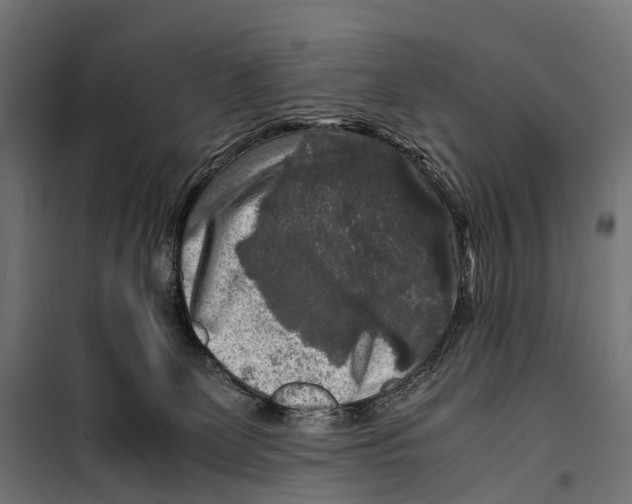 X0000099990131200806201459