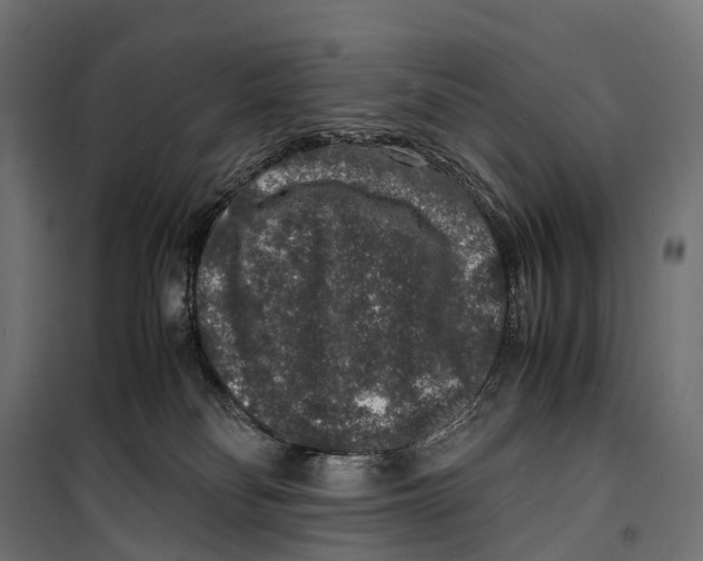 X0000099990134200806201459