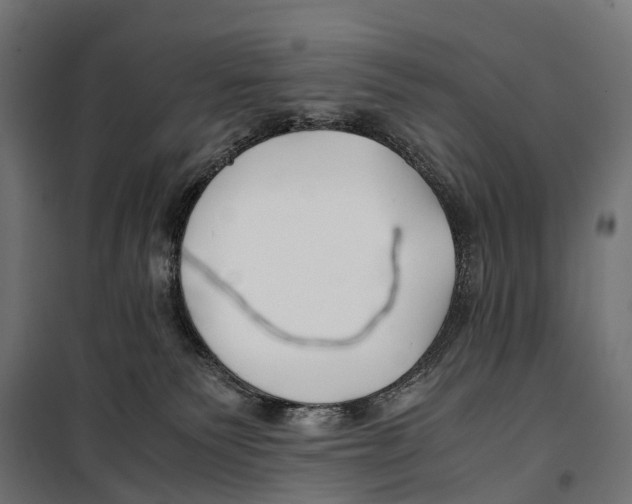 X0000099990135200806201459