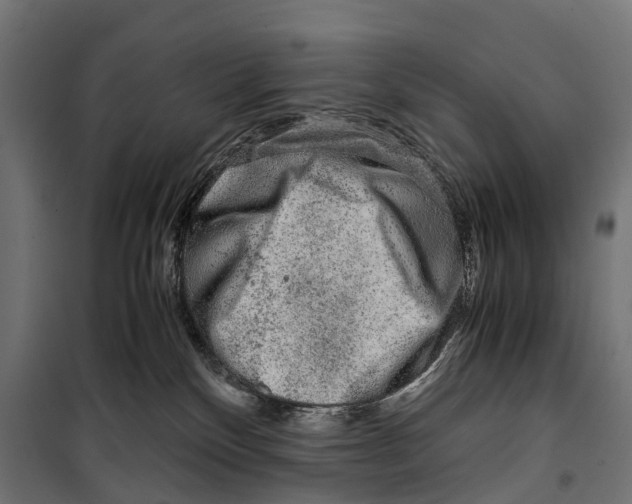 X0000099990136200806201459