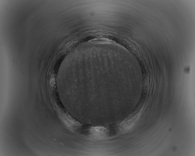 X0000099990137200806201459