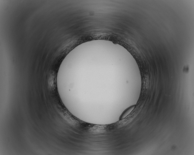 X0000099990138200806201459