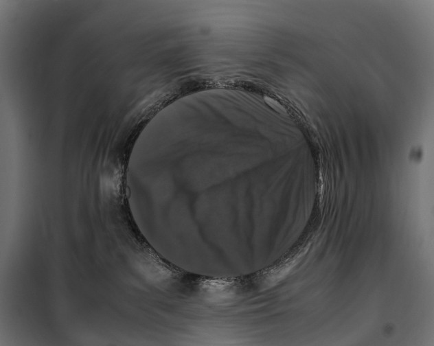 X0000099990139200806201459