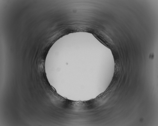 X0000099990141200806201459