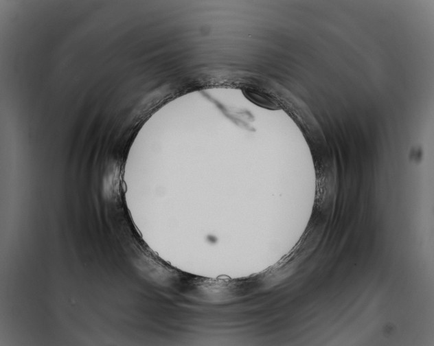 X0000099990142200806201459