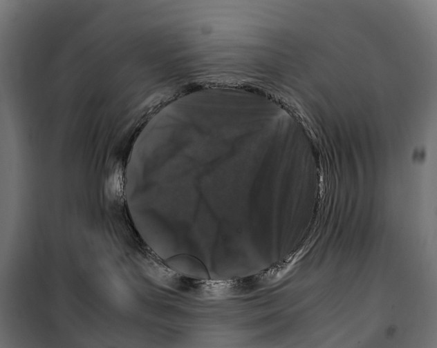 X0000099990143200806201459