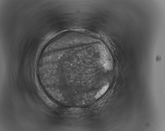 X0000099990145200806201458