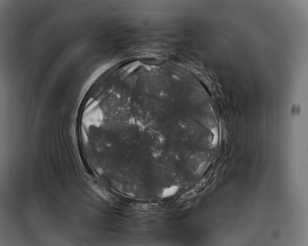 X0000099990147200806201458