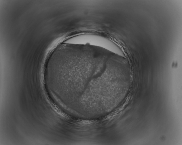 X0000099990149200806201458