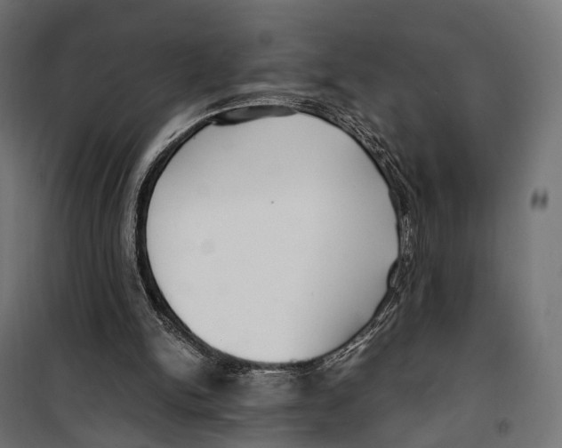 X0000099990150200806201458