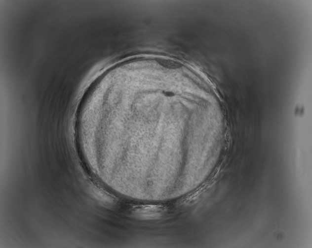 X0000099990151200806201458