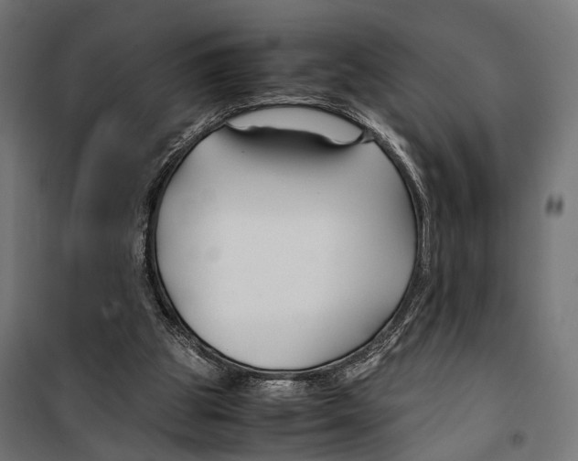 X0000099990153200806201458