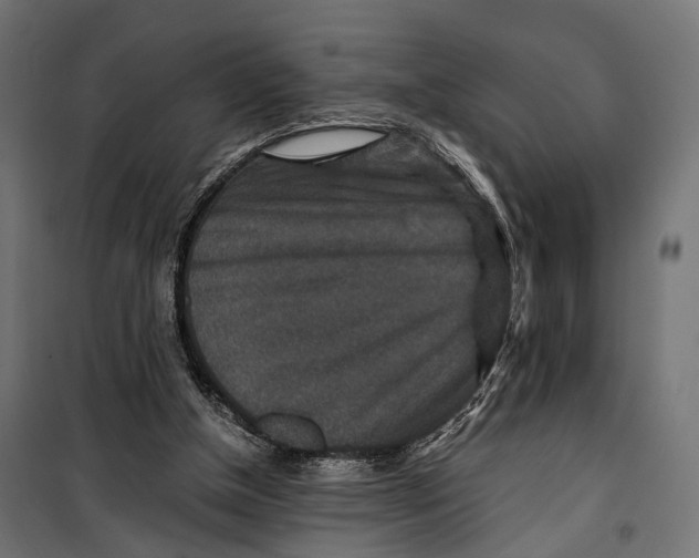 X0000099990154200806201458