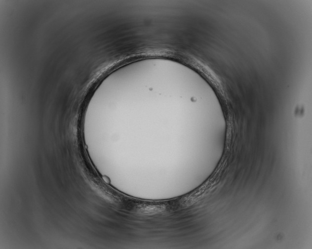 X0000099990155200806201458