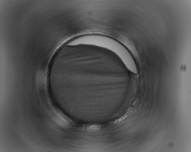 X0000099990156200806201458