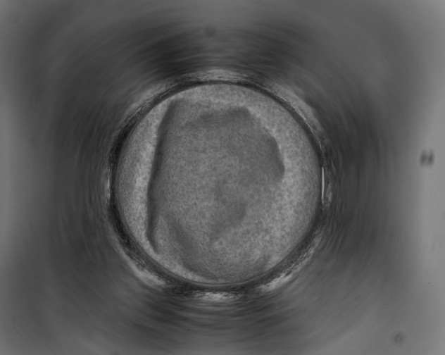 X0000099990157200806201458