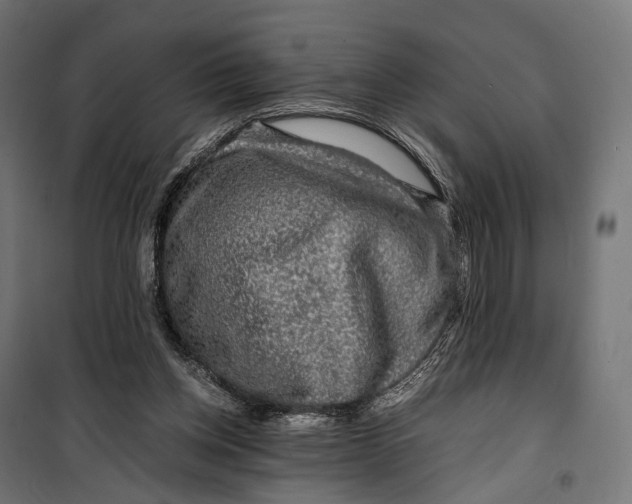 X0000099990158200806201458