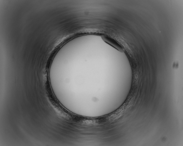 X0000099990160200806201458