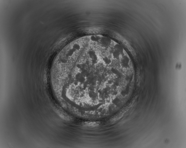 X0000099990161200806201458