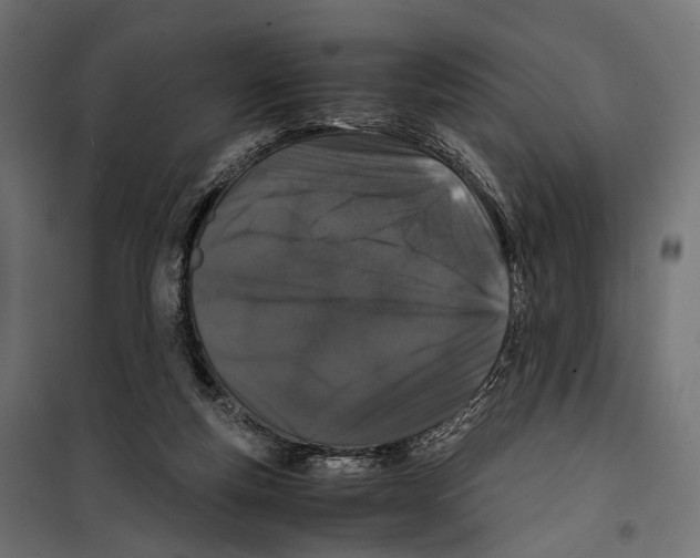 X0000099990163200806201458