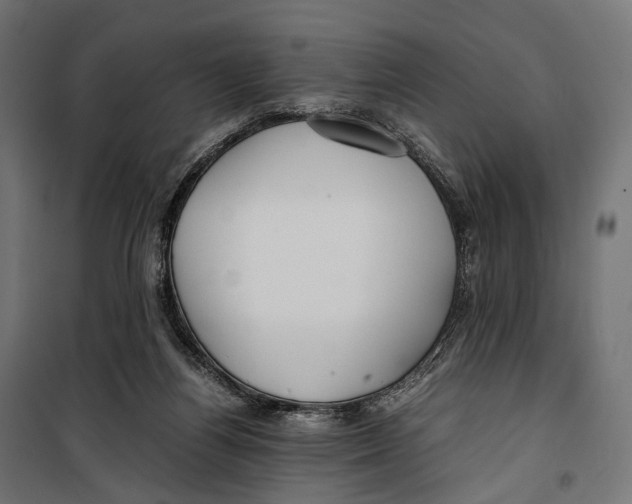 X0000099990164200806201458