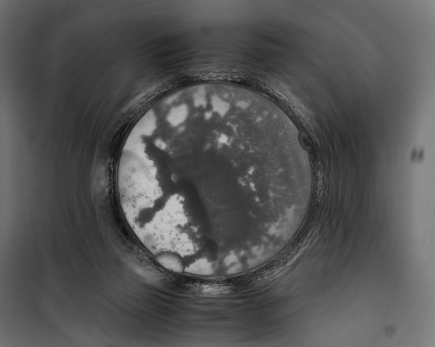 X0000099990165200806201458