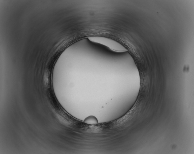 X0000099990166200806201458