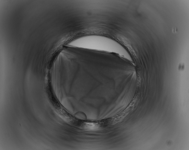 X0000099990167200806201458