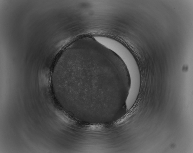 X0000099990168200806201458