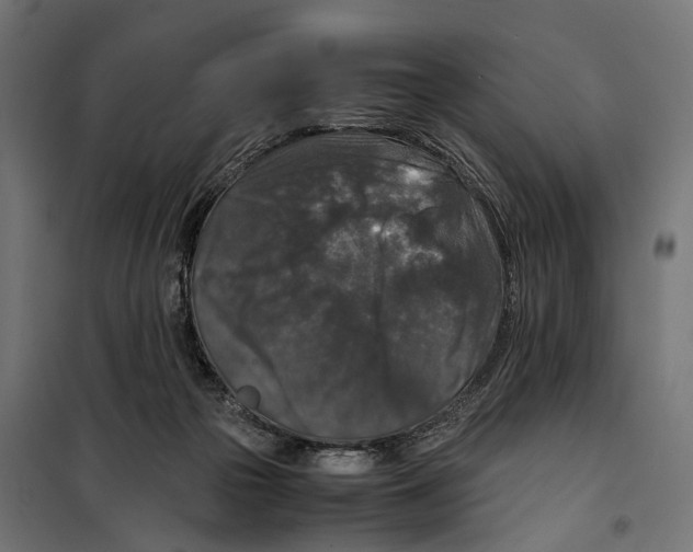 X0000099990169200806201458