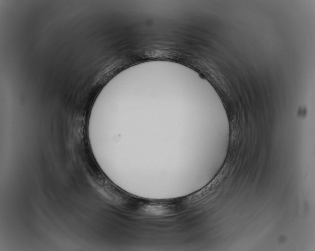 X0000099990171200806201458