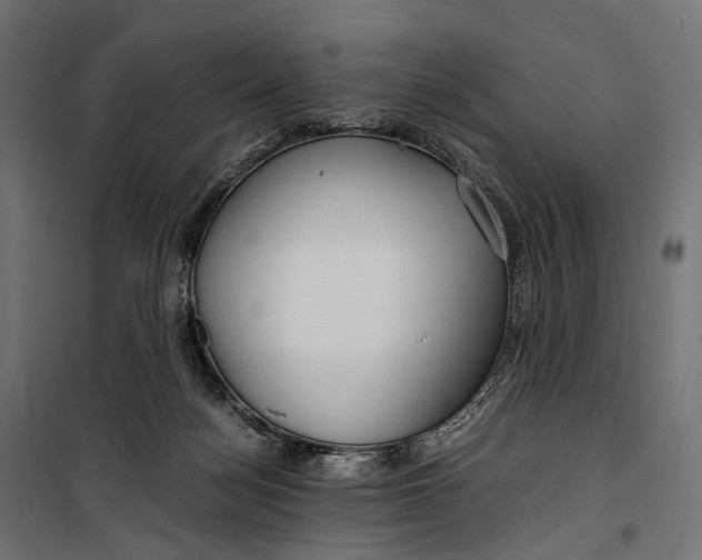 X0000099990172200806201458