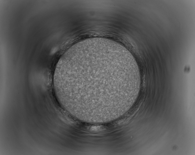 X0000099990173200806201458