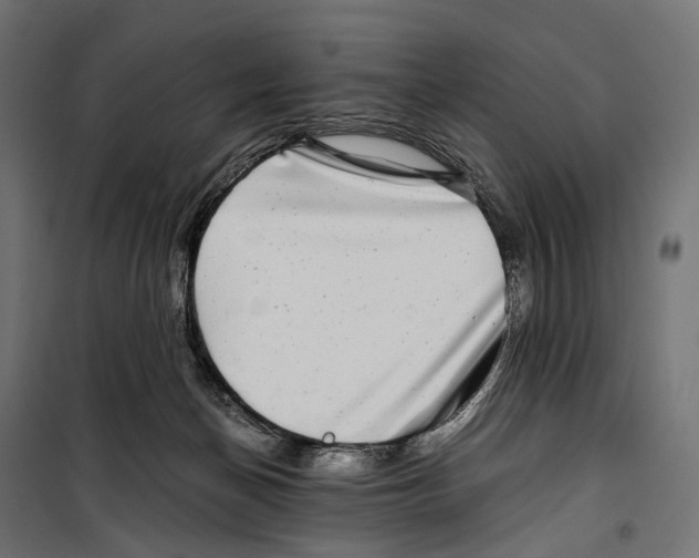 X0000099990174200806201458