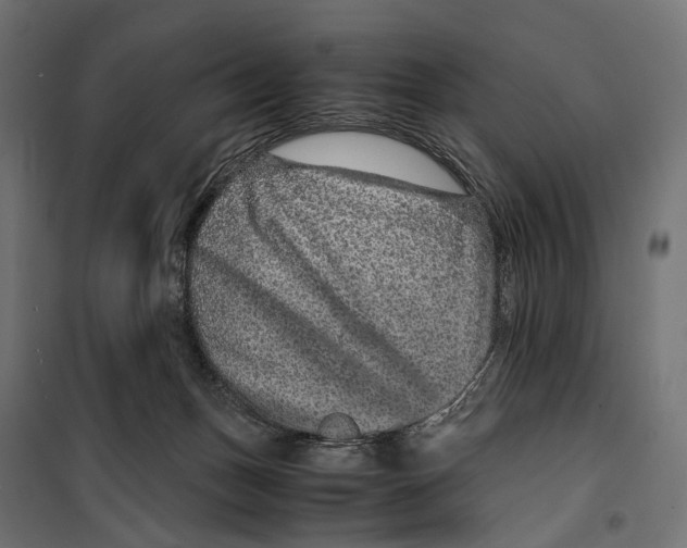 X0000099990175200806201458