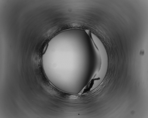 X0000099990176200806201458