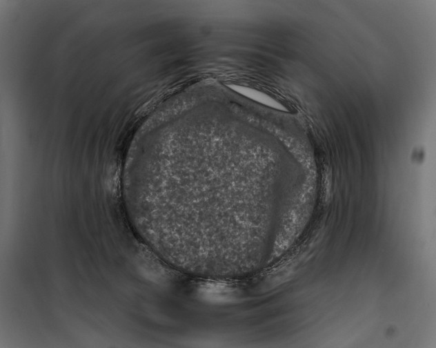 X0000099990177200806201458