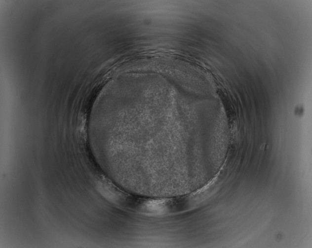 X0000099990178200806201458