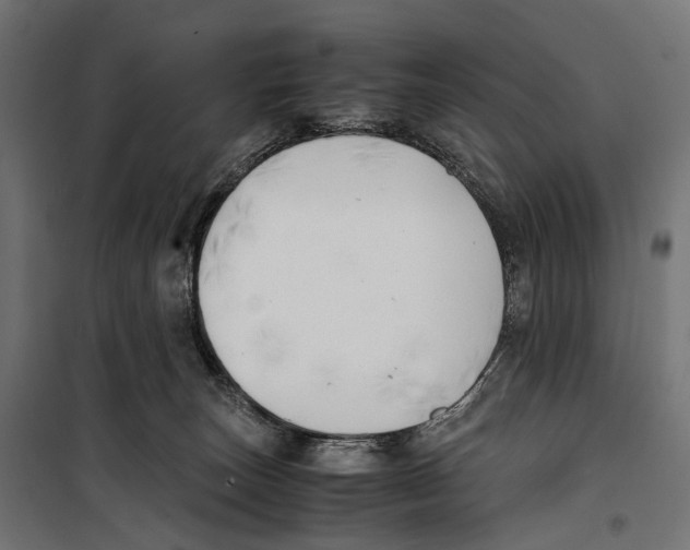 X0000099990179200806201458