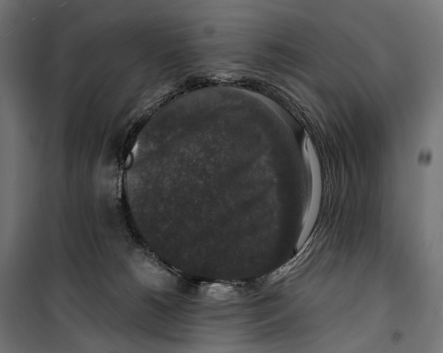 X0000099990180200806201458