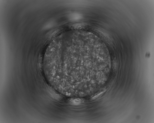 X0000099990181200806201458