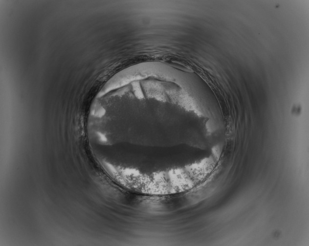 X0000099990182200806201458