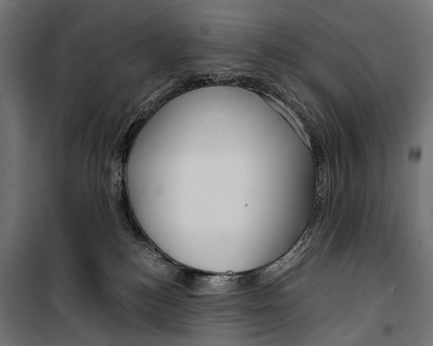 X0000099990184200806201458